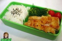 Tonkatsu Bento