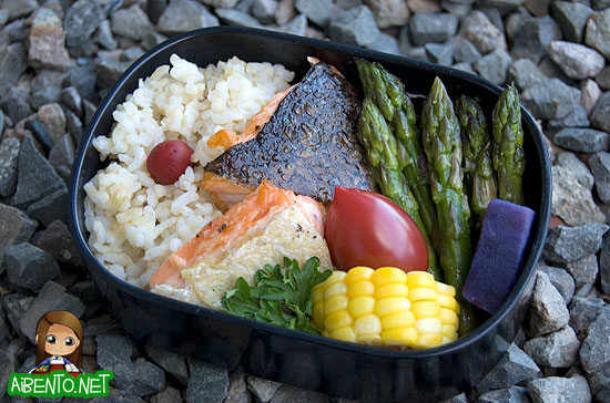 Salmon Bento