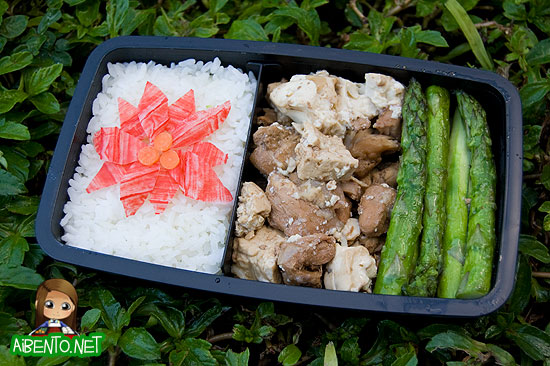 091211-Poinsettia-Bento1