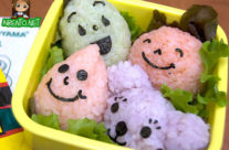 Onigiri for Ochazuke Bento