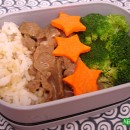 Beef Broccoli & Party Leftovers (154 & 155)