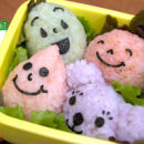 Onigiri for Ochazuke Bento